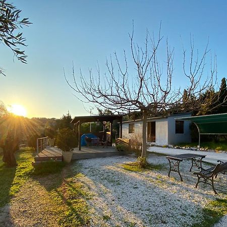 Olive Grove Guest House Anavyssos Bagian luar foto