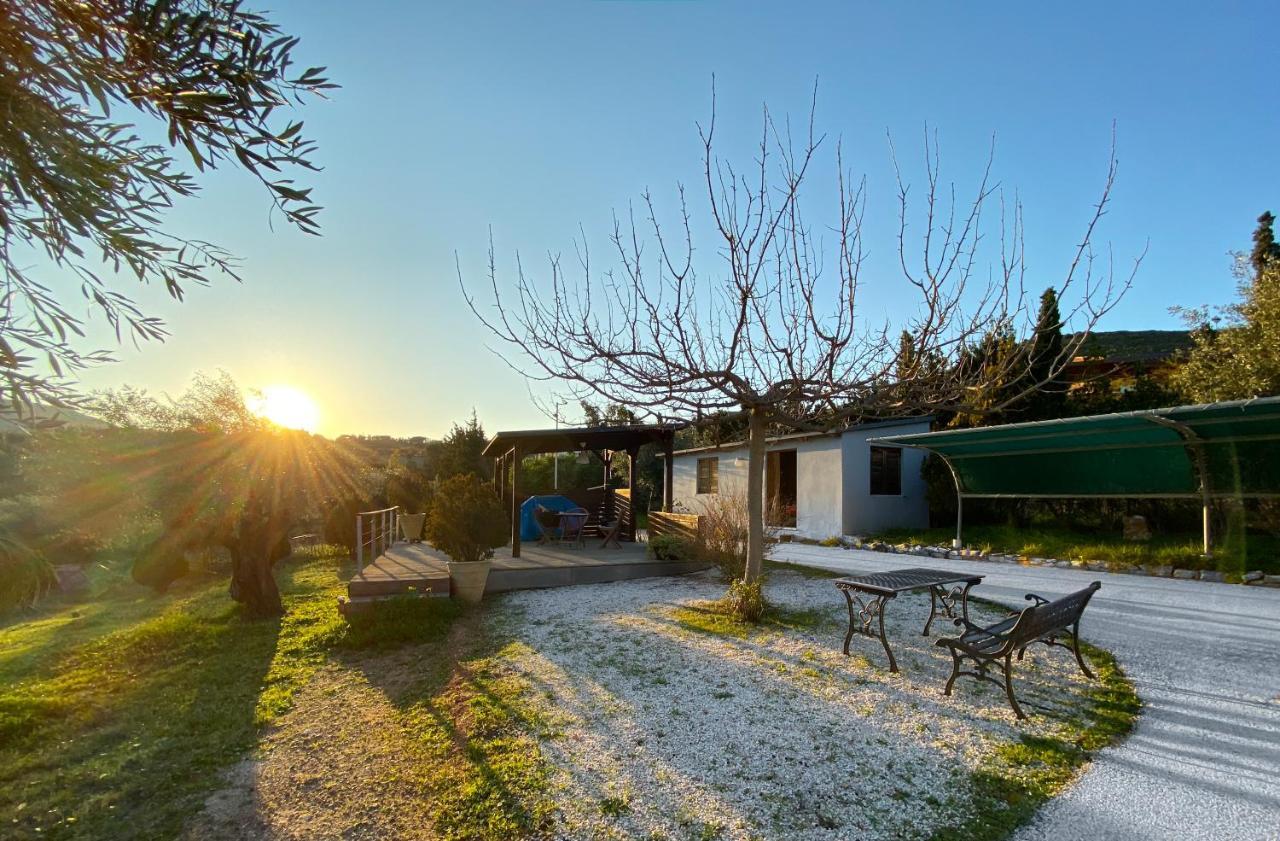 Olive Grove Guest House Anavyssos Bagian luar foto