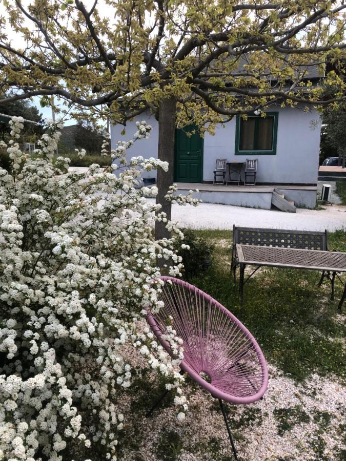 Olive Grove Guest House Anavyssos Bagian luar foto