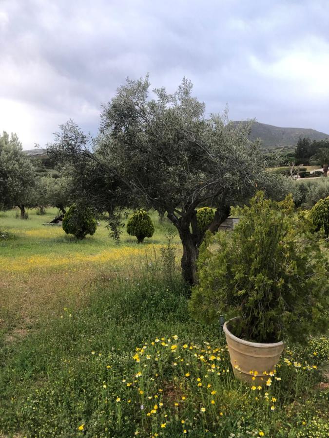 Olive Grove Guest House Anavyssos Bagian luar foto