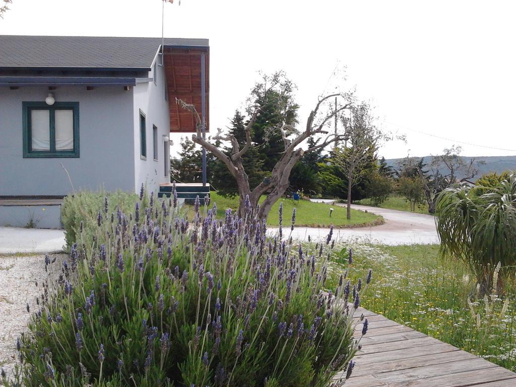 Olive Grove Guest House Anavyssos Bagian luar foto